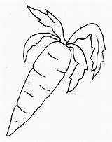 Carrot Coloring Pages Print sketch template