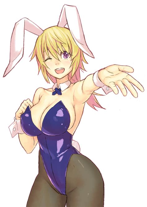 Charlotte Dunois Infinite Stratos Drawn By Yuuji And