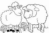 Sheep Coloring Printable Fun Pages Seven Children Cartoon Cute sketch template