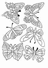 Papillons Hugolescargot Vogels Vlinder Vlinders Papillon Colorier Volwassen Bloemen Coloriages Volwassenen Colouring Insectes источник Bezoeken Topkleurplaat Voir sketch template