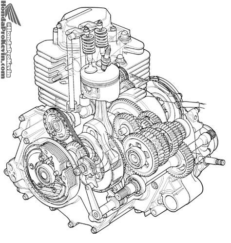 atv engine diagram   wiring diagram