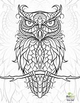 Owl Mandala sketch template