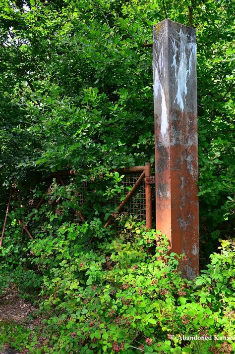 Overgrown Rusty Gate Abandoned Kansai