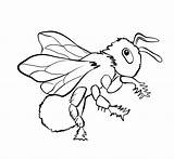 Coloring Pages Bees Bee Popular Clip sketch template