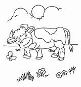 Cow Coloring Pages Field Printable sketch template