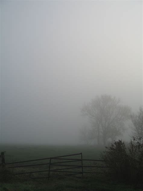 Pin By Rasa Kurtinaityte On Photography Mists Fog Misty