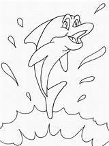Dolfijn Leukekleurplaten Dolfijnen Kleur één Leuke Andere sketch template