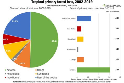 reasons  tropical forest protection   central  corporate climate strategies