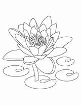 Lotus Coloring Pages Kids Printable sketch template