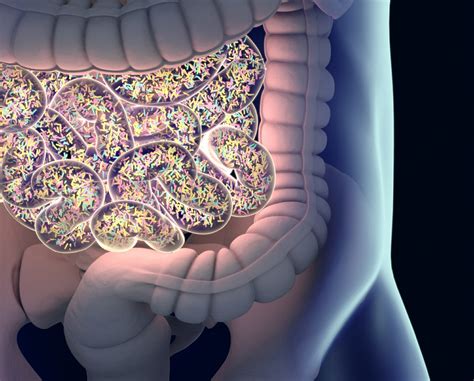 similar gut microbiome signature  patients  axial spondyloarthritis  related immune