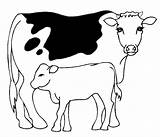 Mucche Colorear Vacas Desenho Koeien Stampare Cartonionline Kleurplaten Kleurplaat sketch template