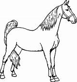Horse Coloring Pages Printable Colouring Horseman Horses Color Print Sheets Spirit Clipart Hors Getcolorings Headless sketch template