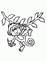 Coloring Banana Monkey Library Clipart Hanging Pages sketch template