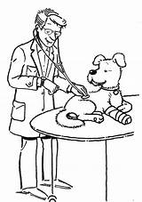 Coloring Veterinarian Pages Vet Para Colorear Dog Signs Health Check Animal Kids Dibujos Animals Doctor Hospital Colouring Veterinario Veterinaria Trabajador sketch template