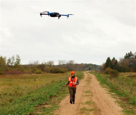 minnesota bear research finds drones wildlife   fly mpr news
