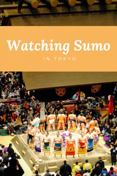 watching sumo  tokyo warmcheaptrips foto
