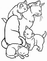 Cat Coloring Kittens Pages Mother Kitten Kids Clipart Color Colouring Drawing Printable Mommy Family Animal Sheets Cats Realistic Print Worksheets sketch template