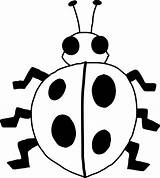 Clipart Insects Clip Cliparts Insect Cute sketch template