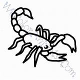 Scorpion Coloring Pages Getcolorings Color Getdrawings sketch template