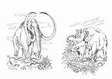 Mammut Mammouth Disegno Malvorlage Mammoet Zum Kleurplaat Erbivoro Mamoth Mammoth Ausmalbild Coloriages Planteneters Schulbilder sketch template
