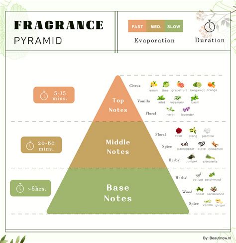 perfume olfactory pyramid perfume notes explained beautinow