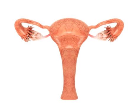 ovarian cancer causes symptoms and treatments medical news today