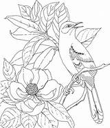 Coloring Mockingbird Mississippi Pages Birds State Kids Printable Magnolia Bird Drawing Flowers Color Print Flower Printables Tattoo Adult Kitty Southern sketch template