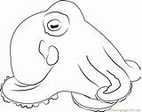Coloring Octopus Marginatus Coloringpages101 Octopuses Pages sketch template