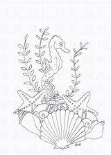 Ausmalbild Seepferdchen Muscheln Dina4 sketch template