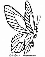 Butterflies Line Mariposas Digi Tons Mariposa Insects Moldes Davies Laurie Papillon Clipartmag Tsgos sketch template