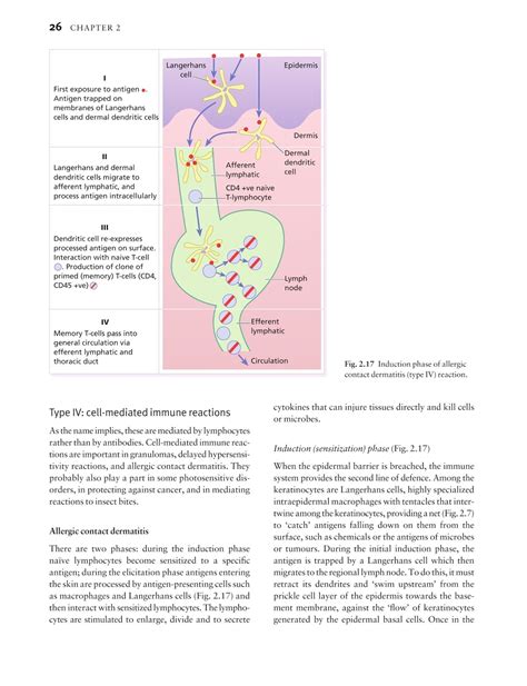 Medicine By Sfakianakis G Alexandros Skin Disease In