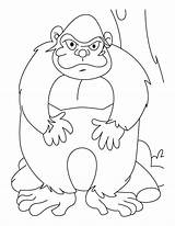Coloring Pages Ape Senior Most Printable Getcolorings Kids sketch template