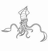 Squid Calamaro Gigante Illustrazione Creatures Animal Diving Animale sketch template