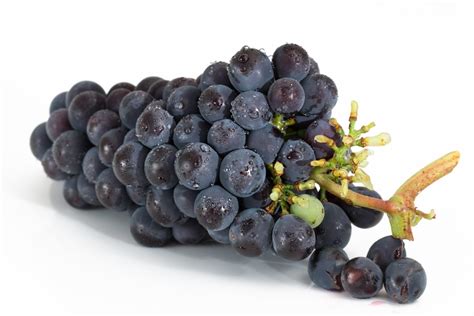 raisins noire lavalle fr  kg bioceno