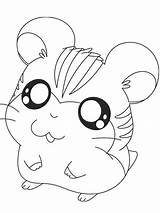 Coloring Hamsters Mammals sketch template