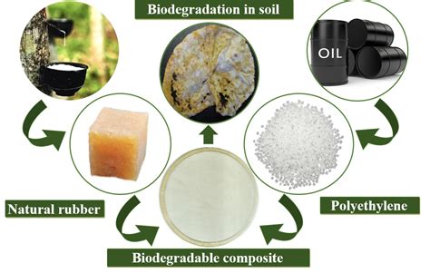 polymers  full text biodegradable polymer materials based