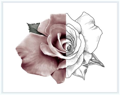 rose coloring page printable flower adult colouring page  etsy