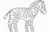 Zebra Zeebra sketch template