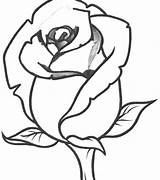 Traceable Roses Drawings Flowers Coloring Flower Drawing Clipart Pages Cartoon Clip Cliparts Characters Clipartbest sketch template