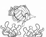 Fish Coloring Pages Aquarium Realistic Cool Printable Getcolorings Ocean Drawing Tank Getdrawings sketch template