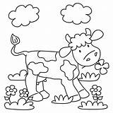Cow Coloring Meadow Kids sketch template
