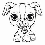 Coloring Pages Lps Shop Pet Littlest Dog Kids sketch template