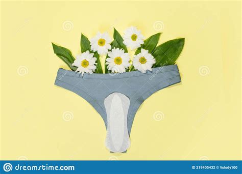 White Daily Feminine Pads And Cotton Panties Intimate Hygiene Stock