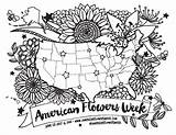 Map Coloring Usa Flowers American Floral Week sketch template