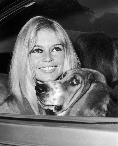 Brigitte Bardot In London In The 1960s Photograph By Keystone France