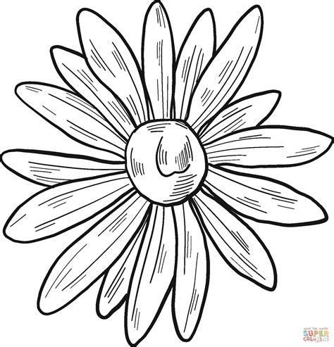 printable daisy pictures printable word searches