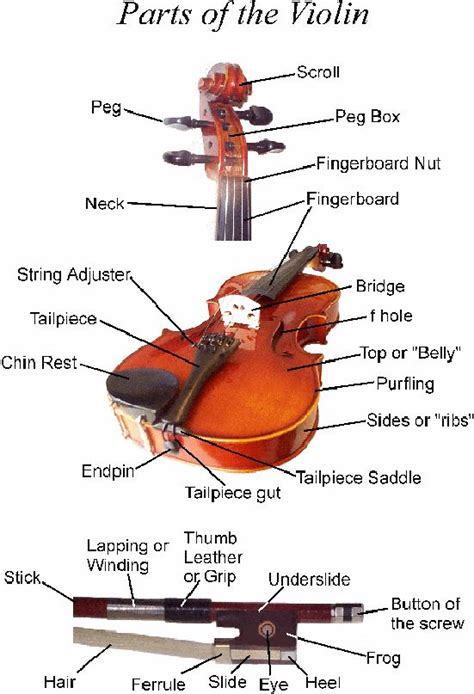 images  parts   violin  pinterest violin parts english  violin bow