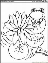 Monet Lily Frog Frogs Conventional Rana Justcolor Getcolorings Grenouilles Disegno Rane Coloringtop Lilies Coloriages Coloringhome Enfants sketch template