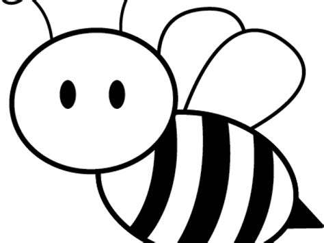 outline image  honey bee clipart full size clipart
