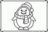 Coloring Penguin Pages Cute Christmas Printable Animals Popular Cartoon sketch template